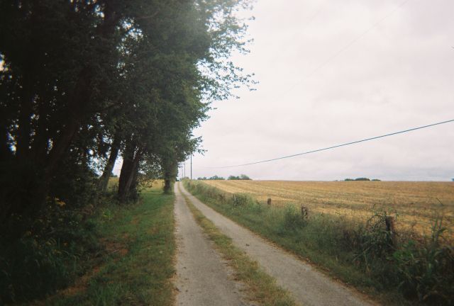 A quiet country road through Southern fields